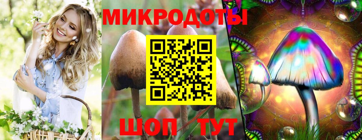 сколько стоит  Галлюциногенные грибы мицелий  Липецк  Вход с VPN  Галлюциногенные грибы Psilocybe 