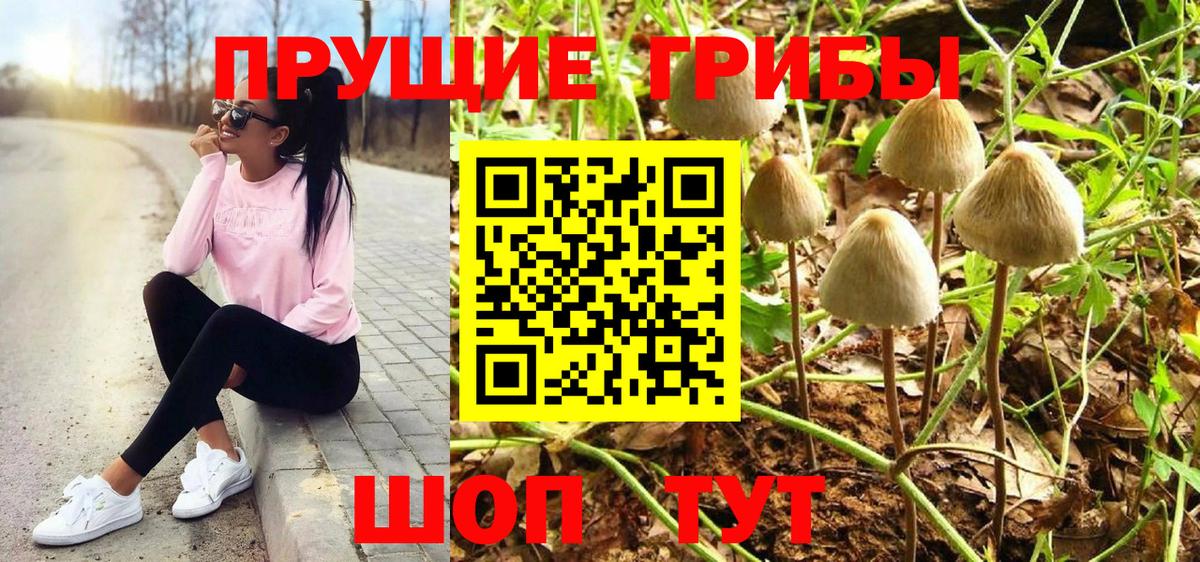 Псилоцибиновые грибы MAGIC MUSHROOMS Липецк